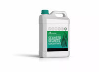 0313 Merge 5LT Seaweed Secrets Liquid Organic Plant & Soil Conditioner With Fulvic Acid Yard.