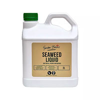 0317 Merge Garden Basics 2L Seaweed Liquid Fertilizer Concentrate Yard.