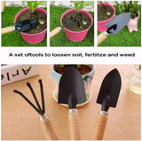 0323 Merge Gardening Tool Set, Spade Shovel, Rake, 6 Pieces Garden Tool Kit Mini Spade Yard Awesome