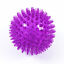 20104 Merge Pet Dog Cat Toy Medium size Balls Interactive Chew Balls Puppy Squeaky Teeth Cleaning Balls