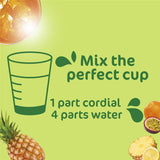 0109 Merge Golden Circle Fruit Cup Cordial 2L with The Great Taste Of Pineapple Pantry.