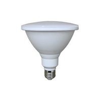 02136 Gunn Sal 12W 3K LPAR38WW Directional Par Lamp Style.