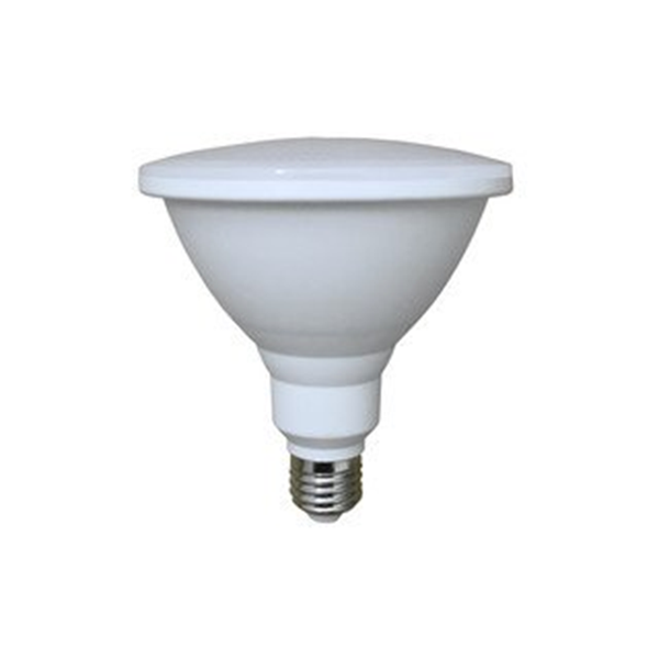 02136 Gunn Sal 12W 3K LPAR38WW Directional Par Lamp Style.